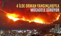 4 ilde orman yangını: Tahliyeler sürüyor