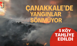 Alevler Gelibolu'dan Eceabat'a sıçradı, 5 köy tahliye edildi