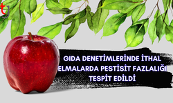 Haftalık Gıda Denetim Sonuçları Açıklandı
