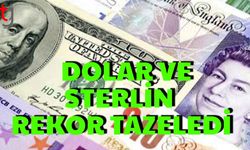 Dolar ve Sterlin Rekor Tazeledi