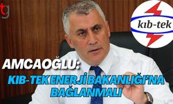 Amcaoğlu: Kıb-Tek Enerji Bakanlığı’na bağlanmalı