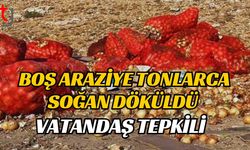 Boş Araziye Tonlarca Soğan Döküldü, Vatandaş Tepkili