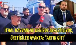 İthal Hayvanlar Denizde Bekletiliyor, Üreticiler Ayakta: “Artık Git!”