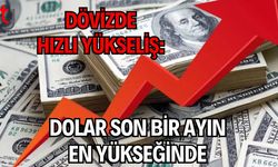Dövizde Hızlı Yükseliş: Dolar Son Bir Ayın En Yükseğinde