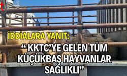 İddialara Yanıt: KKTC’ye Gelen Tüm Küçükbaş Hayvanlar Sağlıklı
