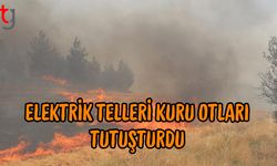 Elektrik Telleri Kuru Otları Tutuşturdu