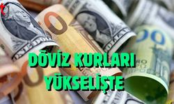 Döviz Kurları Yükselişte