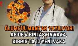 Ölümcül Mantar Yayılıyor: AB’de 4 Bini Aşkın Vaka, Kıbrıs’ta 13 Yeni Vaka