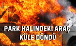Park Halindeki Araç Küle Döndü