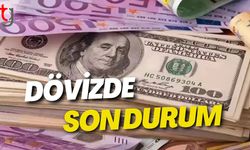 Dövizde son durum