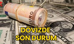 Dövizde son durum