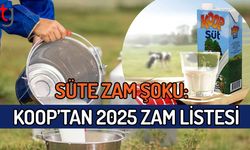 Süte Zam Şoku:  KOOP’tan 2025 Zam Listesi