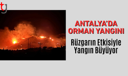 Antalya'da orman yangını: Rüzgar etkisini artırdı
