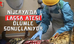 Nijerya'da Lassa Ateşi sebebiyle ölümler artıyor