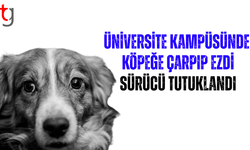 Üniversite Kampüsünde Köpeğe Çarpıp Ezdi: Şüpheli Tutuklandı