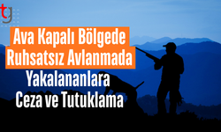 Ava Kapalı Bölge ve Ruhsatsız Avlanma Denetimleri