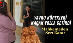 Ercan Havaalanı’nda Hayvan Kaçakçılığı Davası: İki Zanlıya Ağır Teminat
