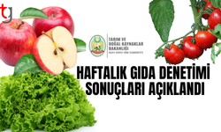 HAFTALIK GIDA DENETİMİ SONUÇLARI AÇIKLANDI