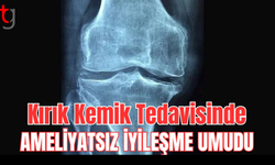 Kırık Kemik Tedavisinde Ameliyatsız İyileşme Umudu