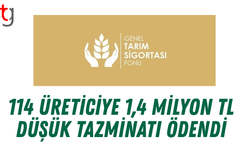 1,4 Milyon TL Düşük Tazminatı Ödendi
