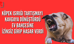 İSKELE’DE KÖPEK ISIRMA OLAYI KAVGAYA DÖNÜŞTÜ