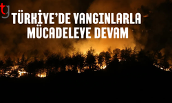 Bakandan yurt genelindeki yangınlara ilişkin açıklama