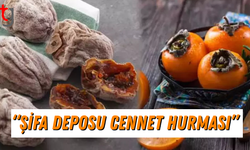 CENNET HURMASININ ŞAŞIRTAN FAYDALARI