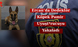 Ercan’da Dedektör Köpek Pamir Uy*şturucuyu Yakaladı