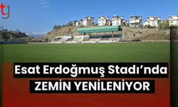 Esat Erdoğmuş Stadı’nda zemin yenileniyor