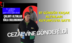 Ev sahibinin niyetini kötüye kullandı