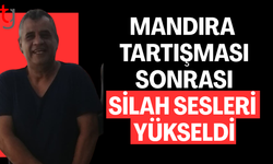 Mandıra husumeti silahlı saldırıya dönüştü