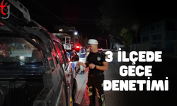 Üç İlçede Asayiş Ve Trafik Denetimleri: 732 Sürücüye Yasal İşlem, 9 Tutuklama