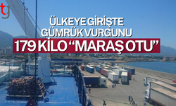 Girne limanında 179 kilo “maraş otu” yakalandı