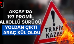 Lefkoşa-Güzelyurt Yolunda Alkollü Sürücü Kaza Yaptı, Araç Alev Aldı