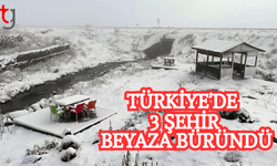 Türkiye'de 3 il beyaza büründü