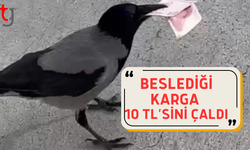 Hatay'da mizah amaçlı video çekmek isterken 10 TL'sini kargaya kaptırdı