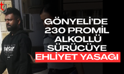 Gönyeli’de alkollü sürücüye ehliyetine el koyma kararı