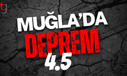 Muğla'da 4.5 büyüklüğünde deprem