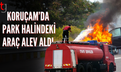 Park halindeki araç alev aldı ;Kuru otlara sıçrayan yangın panik yarattı