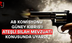 AB Komisyonu Güney Kıbrıs’ı Ateşli Silah Mevzuatı Konusunda Uyardı
