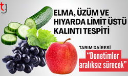 Haftalık Gıda Denetim Sonuçları Açıklandı