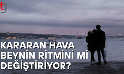 Erken kararan hava beynin ritmini mi değiştiriyor?