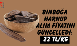Binboğa harnup alım fiyatını 22 tl olarak açıkladı
