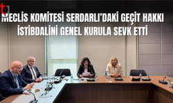 Meclis Komitesi Serdarlı’daki Emlak İstibdal Kararını Onayladı
