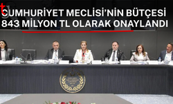 MECLİS BÜTÇESİNDE 599 MİLYON TL’LİK ŞOK KESİNTİ