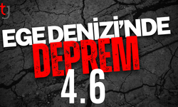 Ege Denizi'nde 4.6 büyüklüğünde deprem