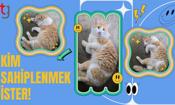 KİM SAHİPLENMEK İSTER!!!