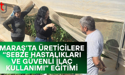 Maraş’ta üreticilere sebze hastalıkları ve güvenli ilaç kullanımı eğitimi