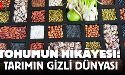 Tohumun Hikâyesi: Tarımın Gizli Dünyası