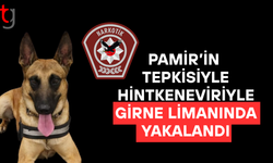 GİRNE LİMANINDA 3 GRAM HİNTKENEVİRİYLE YAKALANDI